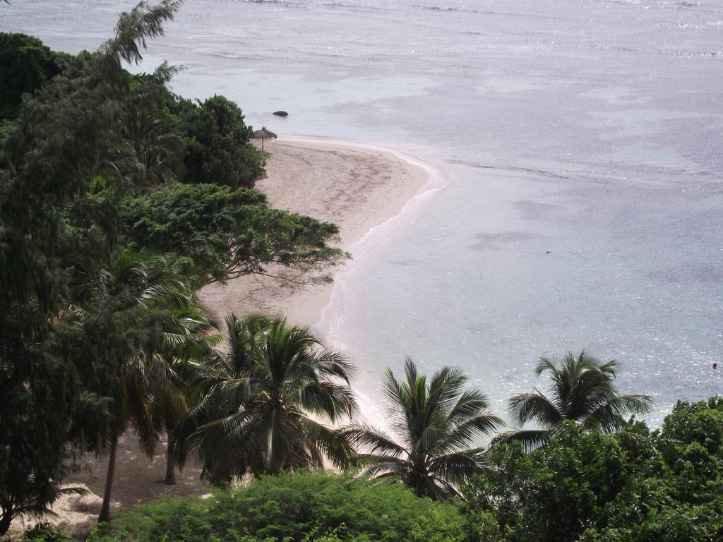 L'Oiseau Du Paradis Vue Mer Studio A Saint Francois A 100 M De La Plage Oda fotoğraf