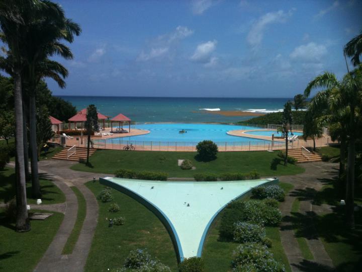 L'Oiseau Du Paradis Vue Mer Studio A Saint Francois A 100 M De La Plage Oda fotoğraf